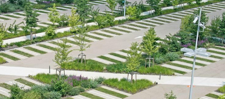Landscaping, Walkways and Open Space in Commercial Parking Lot Design