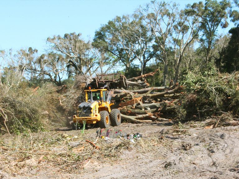 Earthwork and Land Clearing; Key Elements of Construction Site