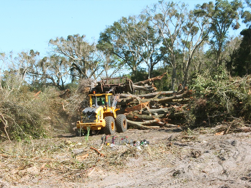 Land Clearing and Site Development Nationwide Consultants, LLC explained and alternatives offered